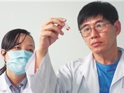 Nghiên cứu phòng chống COVID-19: Những chuyện chưa kể