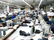 Mở rộng đối tượng khai báo y tế điện tử phục vụ phòng chống dịch Covid-19