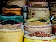 Cây họ đậu: Một gợi ý giúp giảm thiểu tình trạng phụ thuộc vào phân bón ở châu Âu