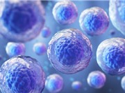 Hệ gene giống một cuốn sách mở như thế nào? Phát hiện về hệ thư viện của các tế bào