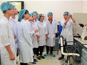 Bốn cơ sở giáo dục đại học Việt Nam vào bảng xếp hạng thế giới của QS