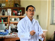 Bột màu vô cơ: Giải bài toán lệ thuộc “hàng ngoại”