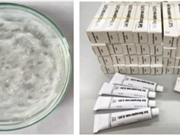 Bào chế thành công thuốc điều trị vết thương mạn tính khó lành từ protein PDGF-BB tái tổ hợp