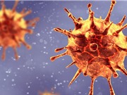 Khối lượng tất cả virus SARS-CoV-2 trên thế giới