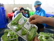 Vì sao cần bổ sung quy định quản lý về truy xuất nguồn gốc sản phẩm, hàng hóa