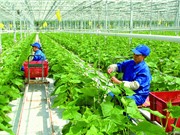 Việt Nam cần khai thác tốt lợi thế so sánh của mình