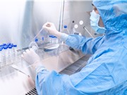 Liệu pháp tế bào gốc: Hứa hẹn cải thiện các triệu chứng của bệnh tự miễn