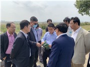 Chuyển đổi số lĩnh vực bất động sản: Chậm vì quá đặc thù