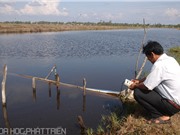 Mô hình xử lý và tái sử dụng nước thải nuôi tôm sú: Giải pháp duy trì hầu như không đồng