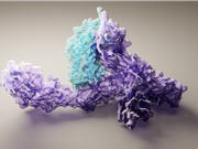 DeepMind công bố mã nguồn của AI giải cấu trúc protein