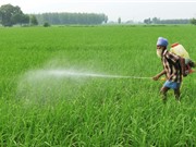 Kháng kháng sinh ở châu Á: Một đại dịch thầm lặng