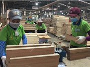 TPHCM tập huấn và tư vấn cho doanh nghiệp về năng suất chất lượng