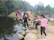 Ô nhiễm nước thải chăn nuôi: Không chỉ là chuyện riêng của Hà Nội
