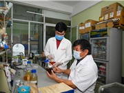VIPDERVIR: Sóng gió ngay từ bước khởi đầu