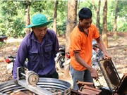 Công nghệ JEVA tách nước trong mật ong