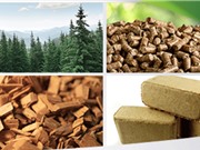QUATEST 3 cung cấp dịch vụ thử nghiệm viên nén gỗ