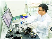 Phát triển thị trường KH&CN: Những điểm nghẽn
