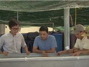 Rút ngắn quy trình nuôi luân trùng