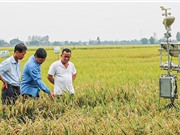 Bộ trưởng Bộ KH&CN Huỳnh Thành Đạt: Đề xuất thành lập trung tâm nghiên cứu tiếp nhận và chuyển giao công nghệ tại khu vực ĐBSCL