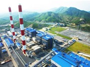 IEEFA: Mục tiêu tăng công suất điện than trong quy hoạch 8 khó khả thi