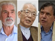 Nobel vật lý: Hai trong một