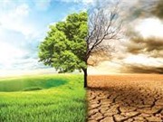 Biến đổi khí hậu ảnh hưởng đến 85% dân số thế giới