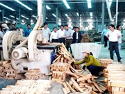 Sản xuất và tiêu dùng bền vững: Khi tiêu chuẩn vào cuộc