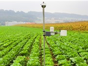 Công nghệ số có thể đem lại 74 tỷ USD cho Việt Nam vào năm 2030