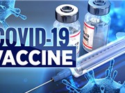 Hiệu lực của vaccine corona?