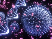 Phát hiện gene giúp hình thành phản ứng miễn dịch với COVID-19