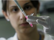 Giới khoa học Brazil: Nguy cơ bị tước đoạt nguồn tài trợ