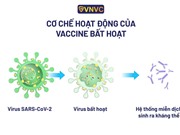 Vaccine bất hoạt là gì?