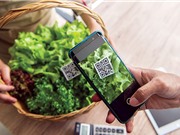 Truy xuất nguồn gốc nông sản: Sơ khởi cả về nhận thức và thực hành