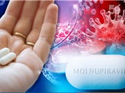 Ema công nhận viên nang Corona Molnupiravir