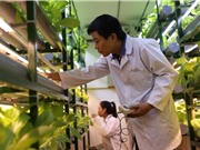 Nâng cao năng lực ĐMST của doanh nghiệp: Những điểm nghẽn