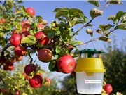 Công nghệ bẫy và đếm côn trùng gây hại mùa màng