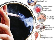 Hút thuốc lá tăng nguy cơ suy tim