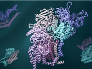Học sâu tiết lộ cách các protein tương tác