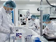 Sản xuất vaccine Việt Nam: tình huống trớ trêu