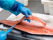 Phụ phẩm cá nuôi: tiềm năng lớn chưa được khai thác