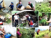 Khẩn trương hoàn thiện thủ tục giao kế hoạch vốn cho các chương trình MTQG
