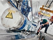 Các nhà vật lý dò được các tín hiệu của hạt neutrino tại LHC