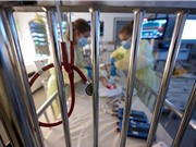 Cuộc lội ngược dòng của các vaccine RSV