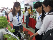 Đông Nam Bộ và ĐBSCL: Nhiều hoạt động hỗ trợ khởi nghiệp ĐMST