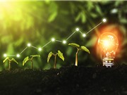 Tăng trưởng xanh ở tận cùng thế giới phẳng