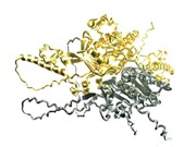 Science chọn thuật toán giải cấu trúc protein là đột phá khoa học của năm 