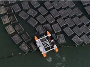 MIT thiết kế robot hỗ trợ người nuôi hàu