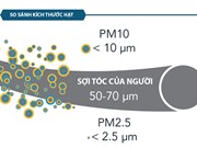 "Mổ xẻ" hạt bụi đô thị