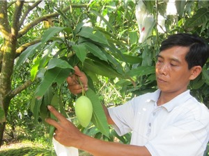 Nâng cao tiêu chuẩn chất lượng nông sản: Giải bài toán tắc nghẽn nông sản
