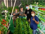 Đại học Hawaii mở rộng chương trình đào tạo về Aquaponics